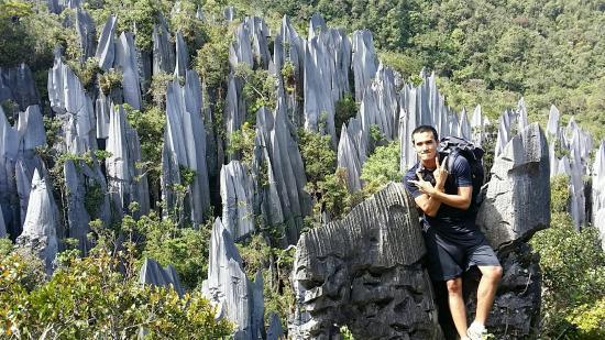 Parque nacional de Gunung Mulu