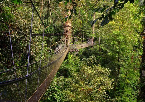 Nationalpark Gunung Mulu